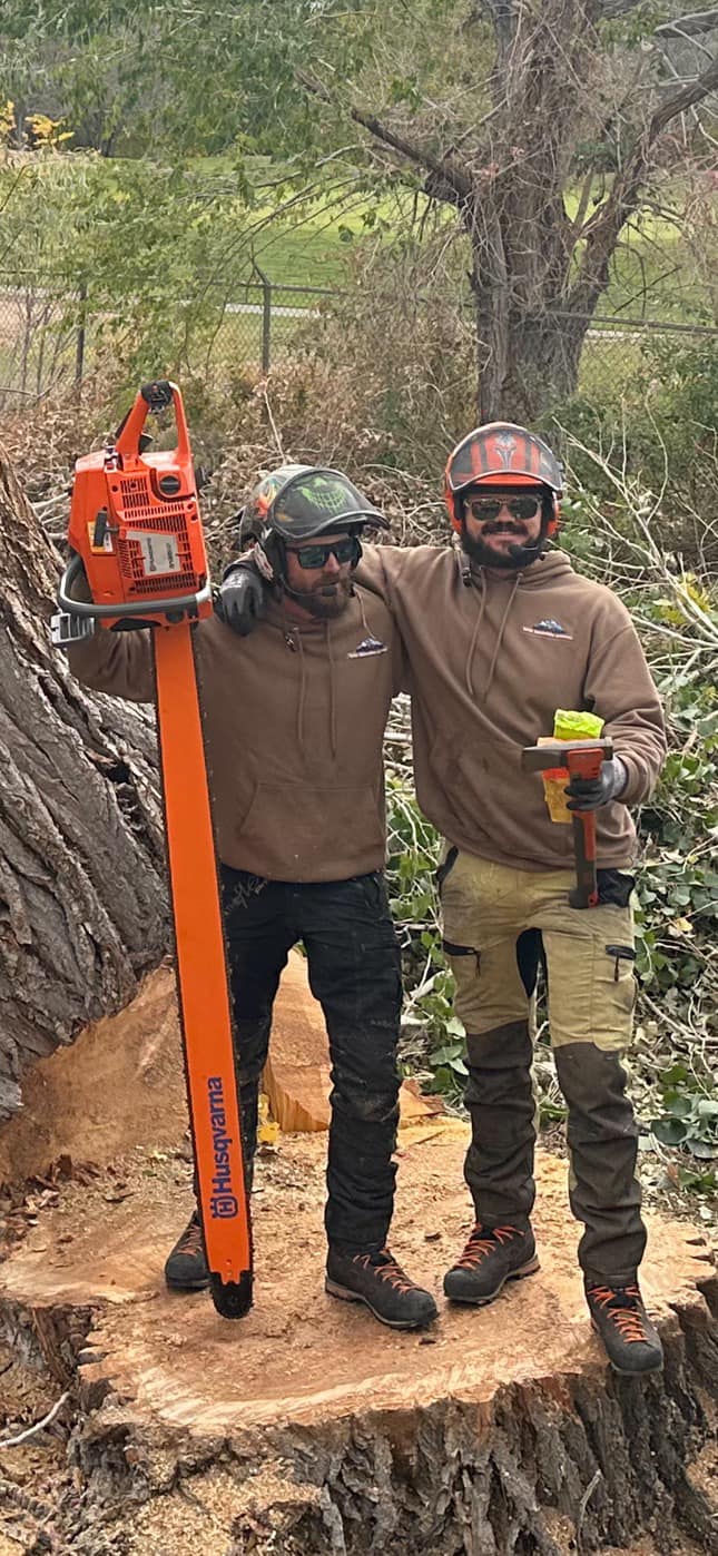 bear mountain arborist team members