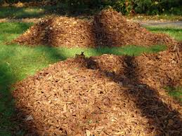 mulch