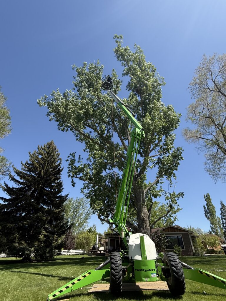 0D2E3110-7A02-4DBD-AAE4-2B71DB709D04